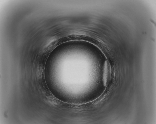 X0000095931014200801181435