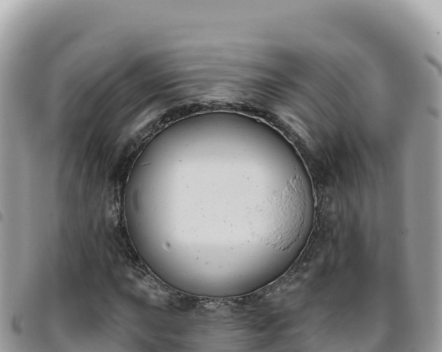 X0000095931015200801181435