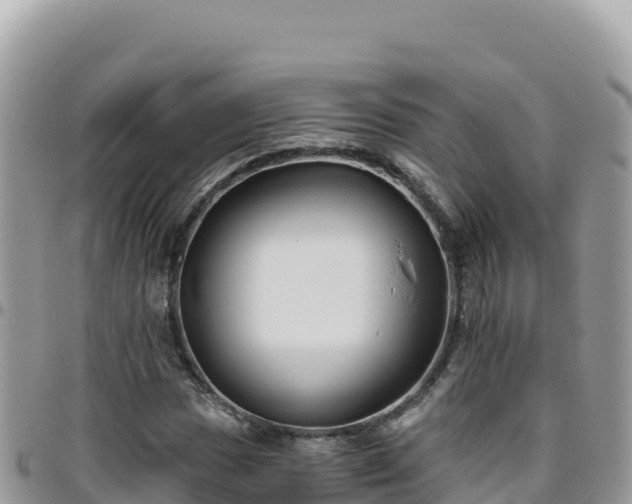 X0000095931017200801181435
