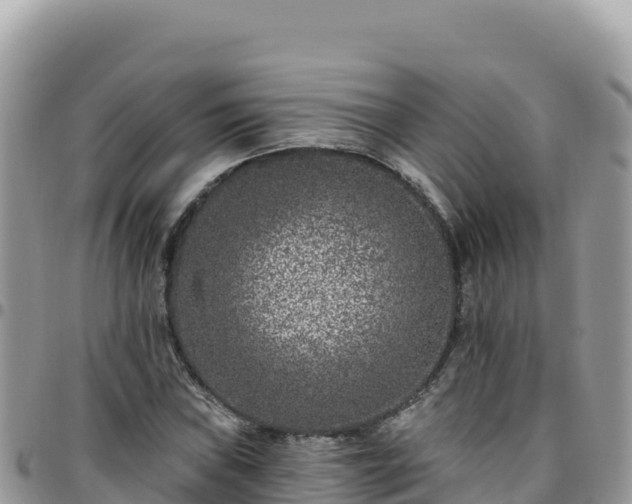 X0000095931019200801181435