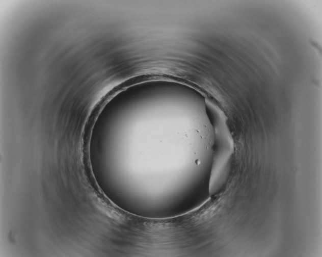 X0000095931020200801181435