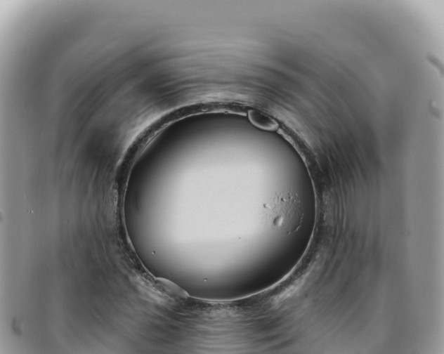 X0000095931021200801181435