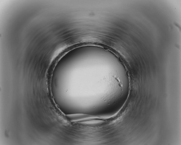 X0000095931022200801181435