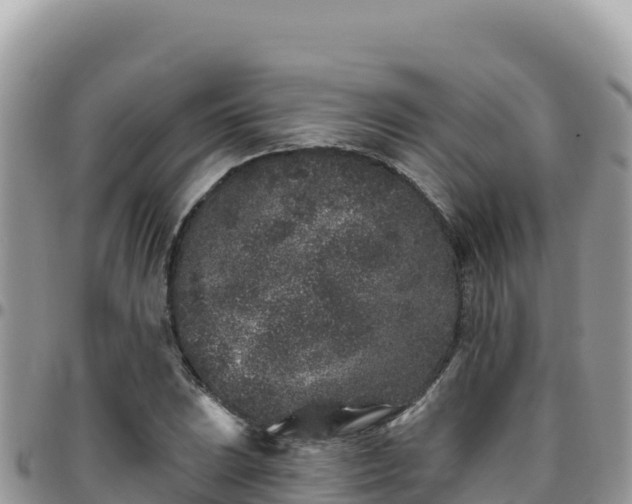 X0000095931023200801181435