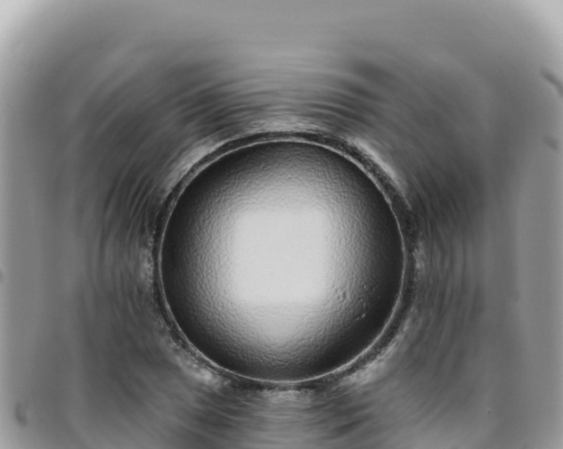 X0000095931025200801181435