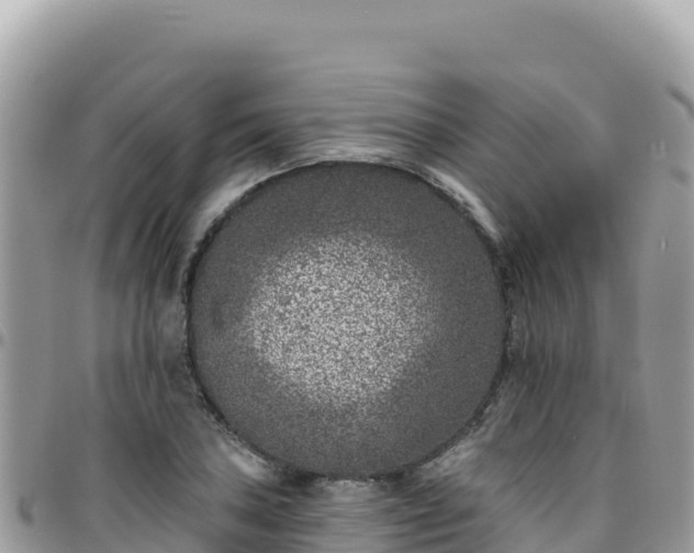 X0000095931027200801181435