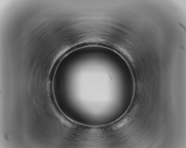 X0000095931029200801181435
