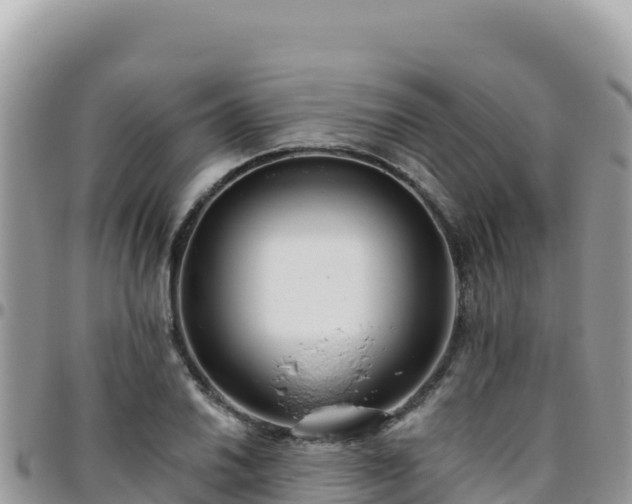 X0000095931030200801181435