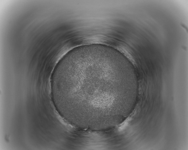 X0000095931031200801181435