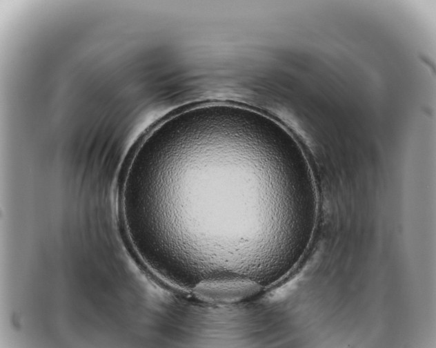 X0000095931032200801181435