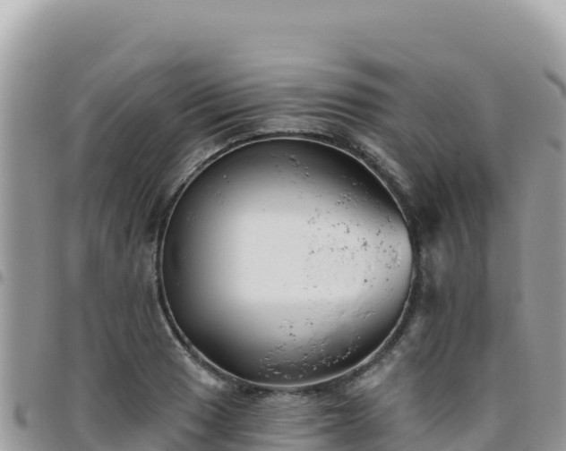 X0000095931033200801181435