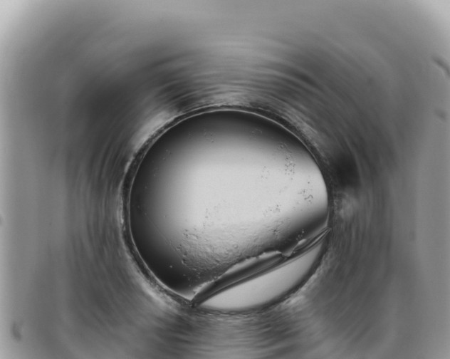 X0000095931034200801181435