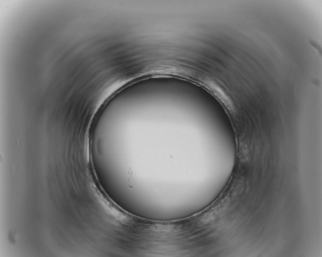 X0000095931036200801181435