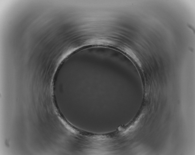 X0000095931037200801181435