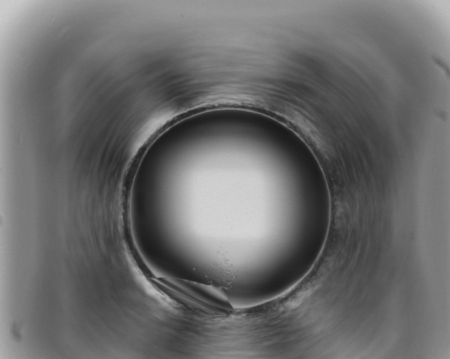 X0000095931038200801181435