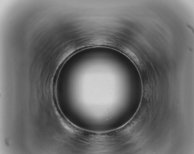 X0000095931039200801181435