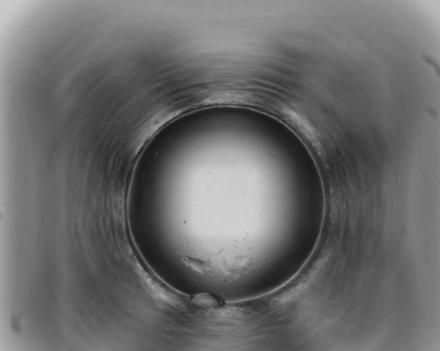 X0000095931041200801181435