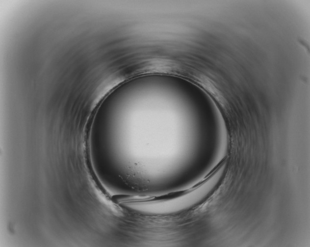 X0000095931042200801181435