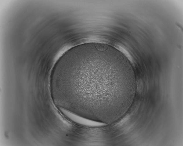 X0000095931043200801181435