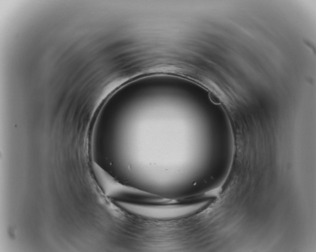 X0000095931044200801181435