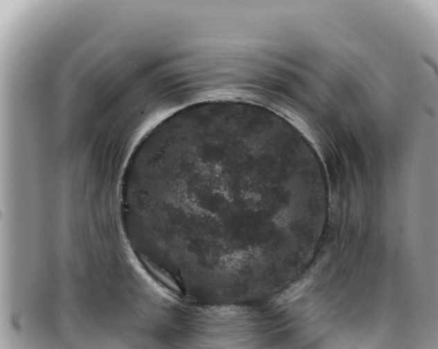 X0000095931045200801181435