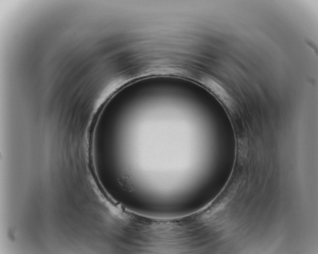 X0000095931046200801181435