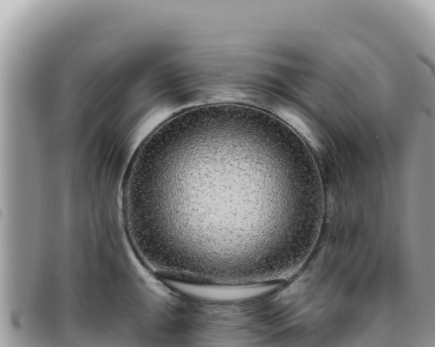 X0000095931047200801181435