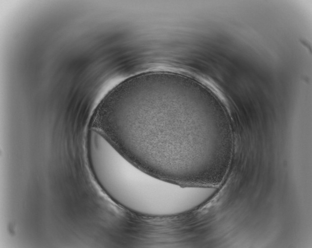 X0000095931048200801181435