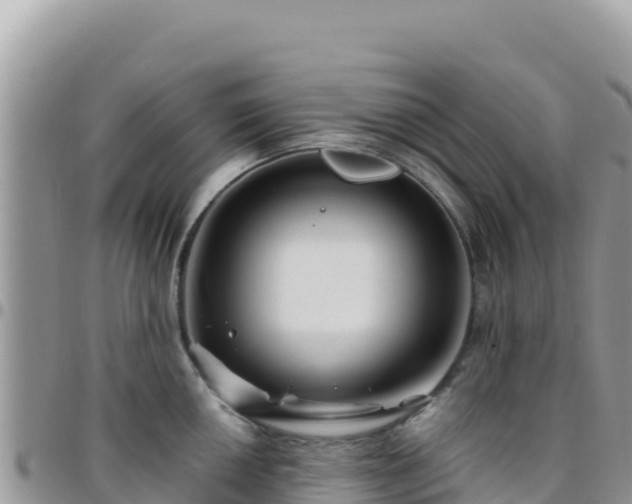 X0000095931050200801181435