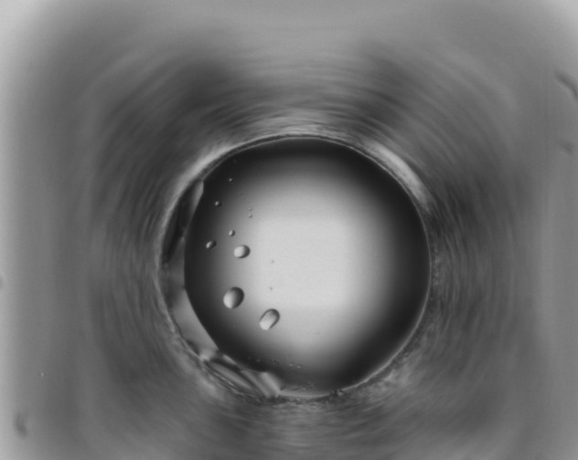 X0000095931051200801181435