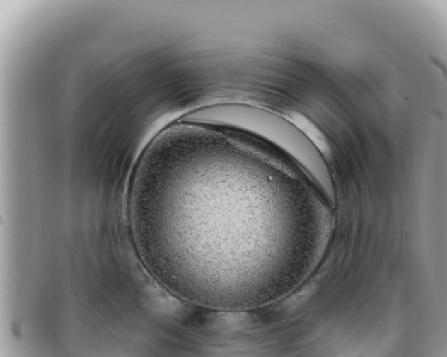 X0000095931052200801181435