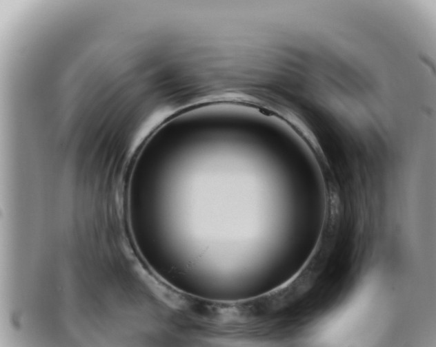 X0000095931054200801181435