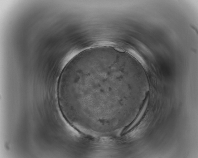 X0000095931055200801181435