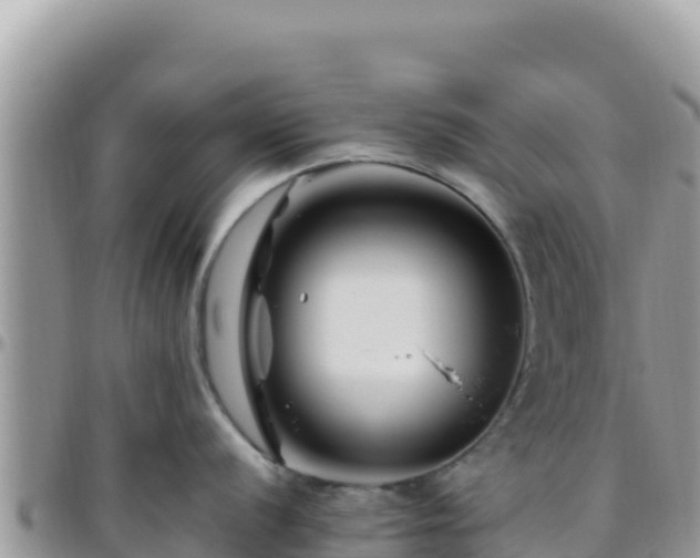 X0000095931056200801181435