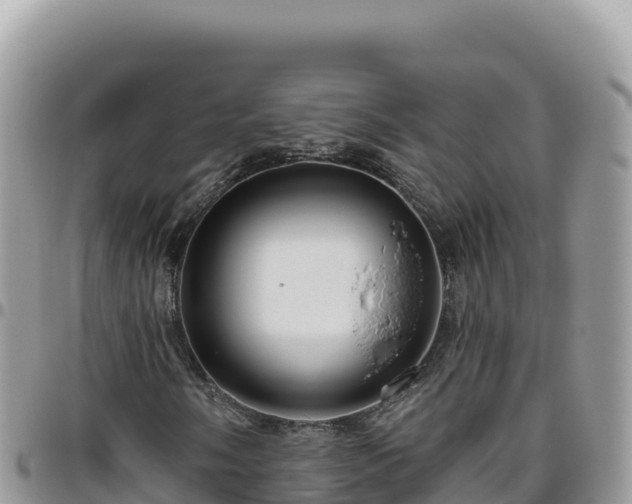 X0000095931058200801181435