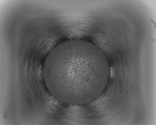 X0000095931059200801181435