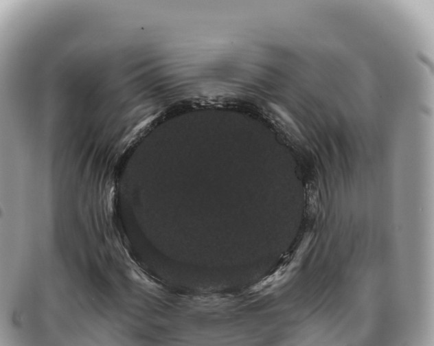 X0000095931060200801181435