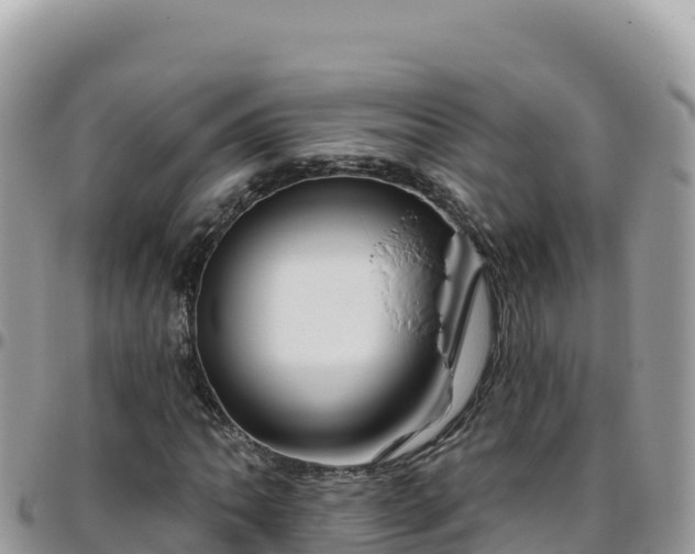 X0000095931062200801181435
