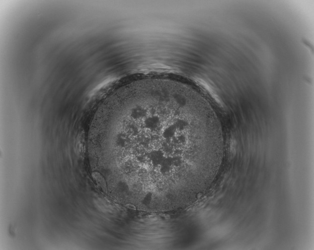 X0000095931063200801181435
