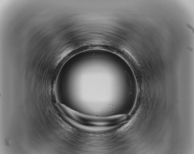 X0000095931065200801181435