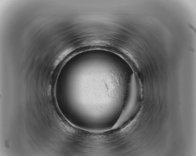 X0000095931066200801181435