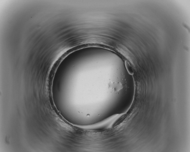 X0000095931068200801181435