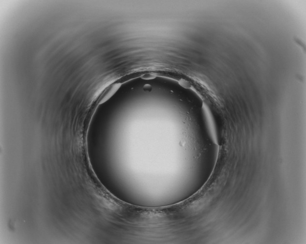 X0000095931073200801181435