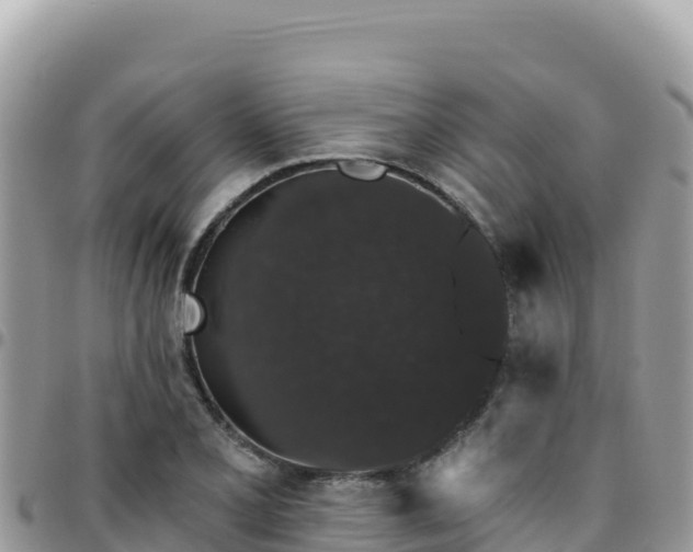 X0000095931077200801181434