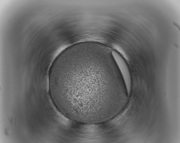 X0000095931079200801181434