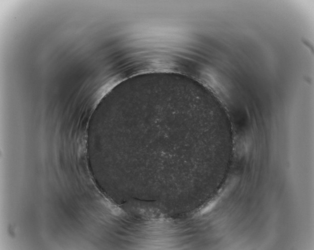 X0000095931081200801181434