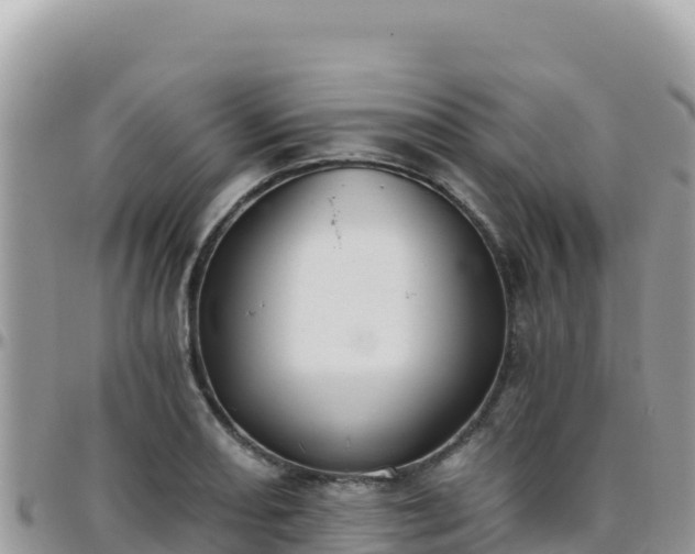 X0000095931082200801181434
