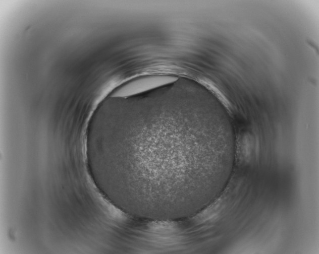 X0000095931083200801181434
