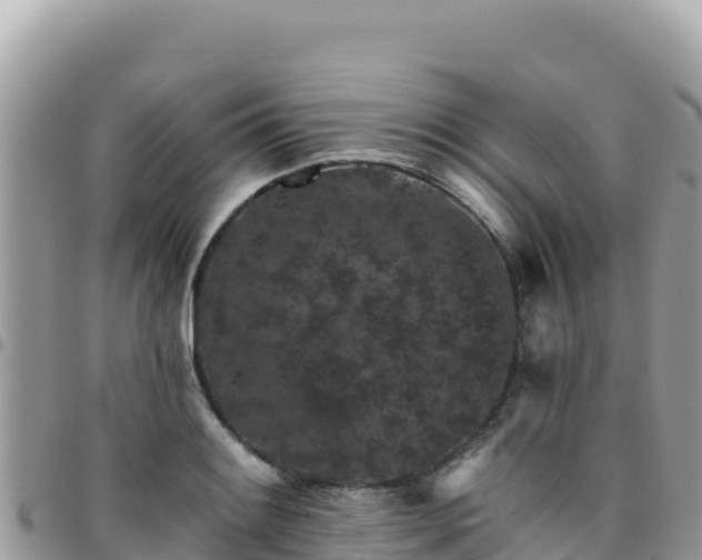 X0000095931084200801181434