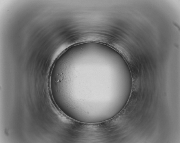 X0000095931086200801181434